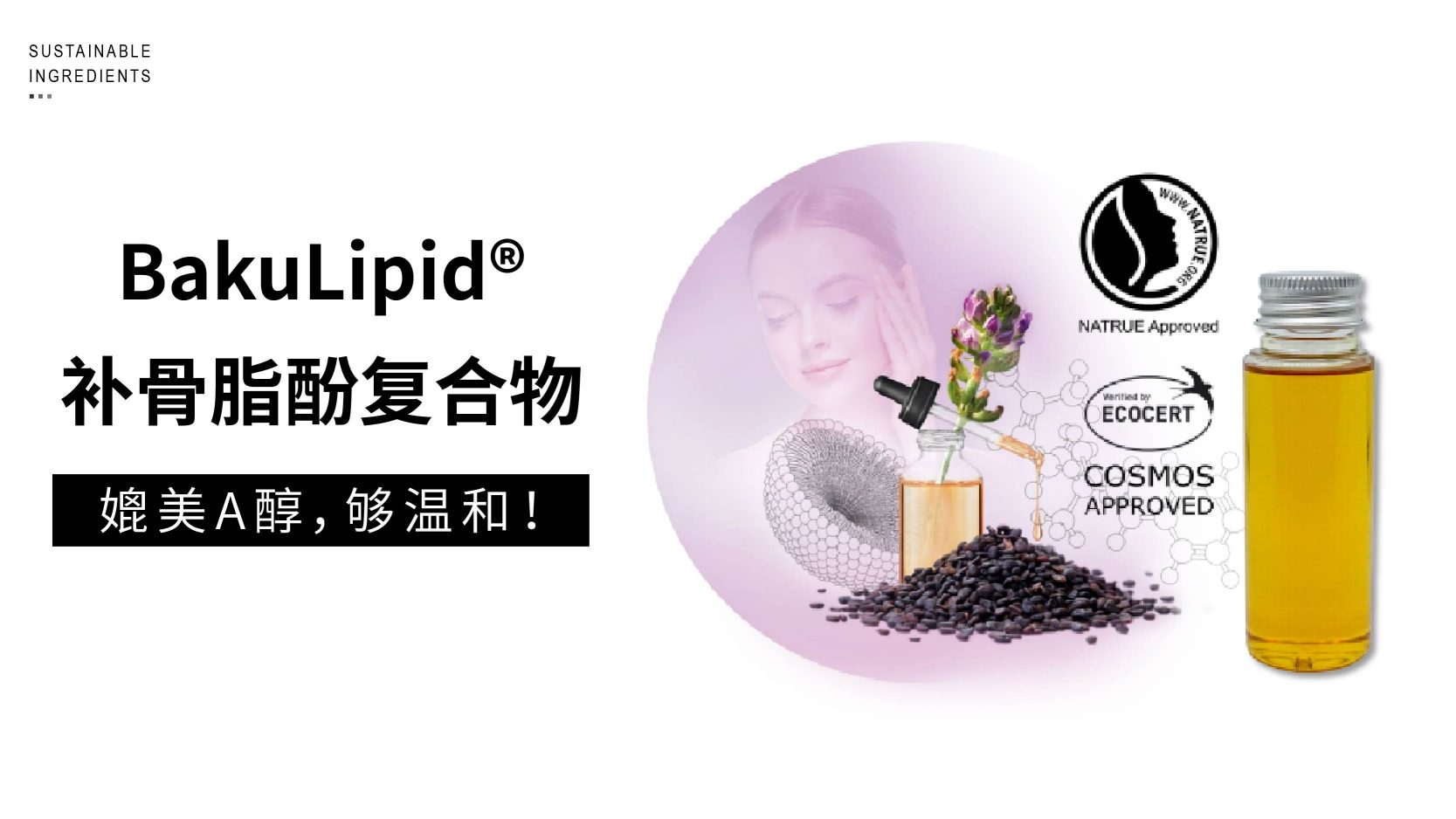 抗衰新风口 | 温和的植物A醇或成潜力股
