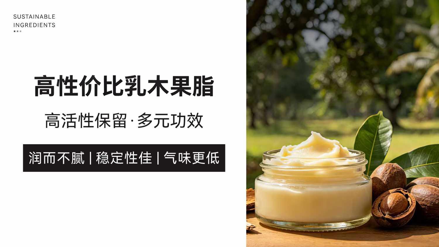 大厂优选｜WILSHEA Prime乳木果脂，高活性、低气味的高性价比修护油脂